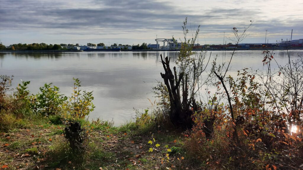 Wien-Donauinsel