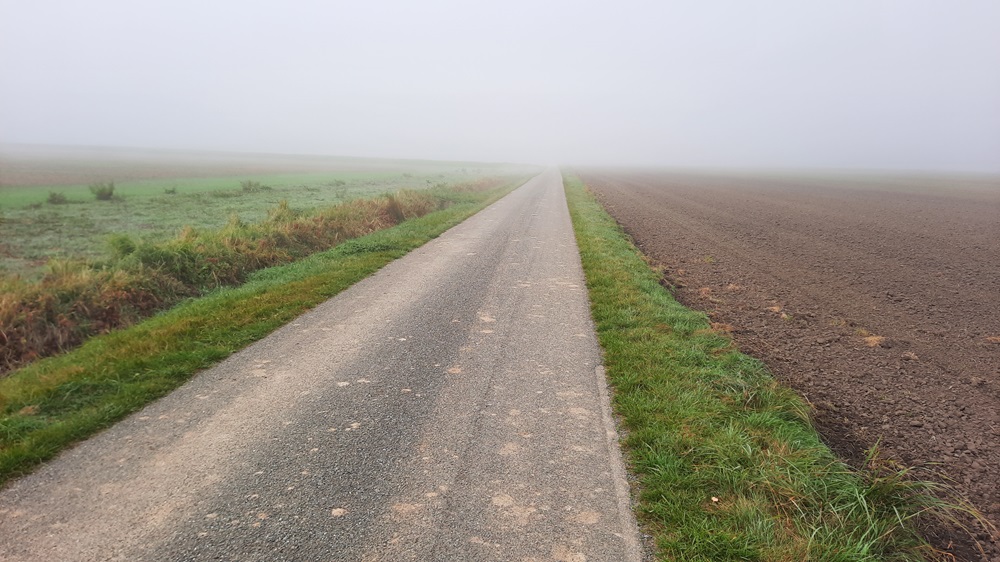 Langau - Weg im Nebel - Oktober 2024